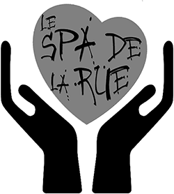 logo SPA PUBLIC